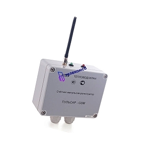 Счетчик импульсов - регистратор Пульсар 2 канальный с GSM/SPRS; без индикатора